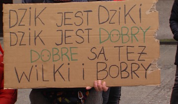W obronie dzików