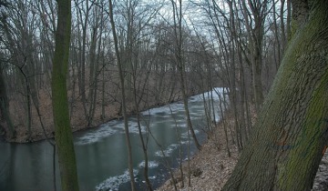 Park Tysiąclecia