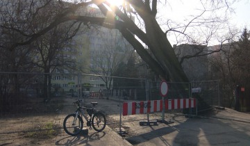 Ruszają z Wiązową