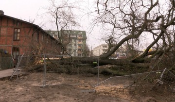 Przegrał z wiatrem