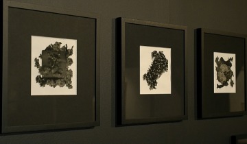 Anomalia.Naturalia