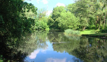 Park do rewitalizacji
