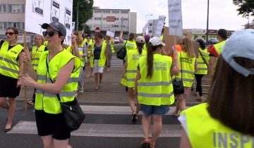 Weterynaryjny protest