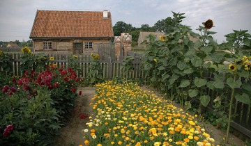 Lato u Olendrów