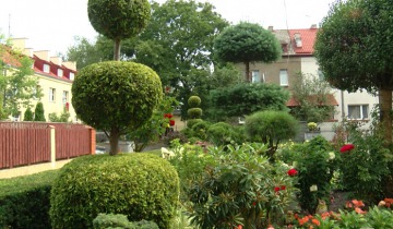 Spółdzielczy konkurs