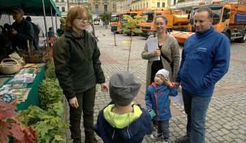 Ekologiczny piknik