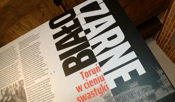 W cieniu swastyki