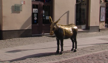 Toruń bez gości