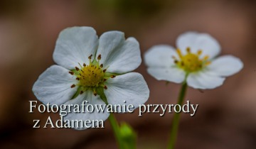 Fotografowanie przyrody z Adamem cz.2