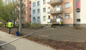Zielono na Letniej