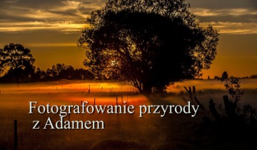 Fotografowanie Przyrody z Adamem cz.8
