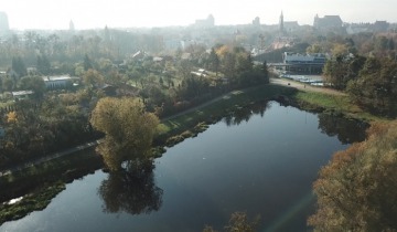 Chronić przed suszą