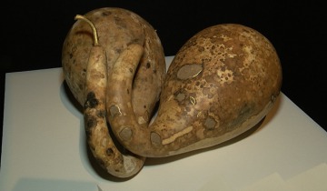 Czas kamienia