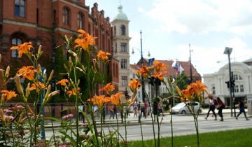 Zielona Starówka