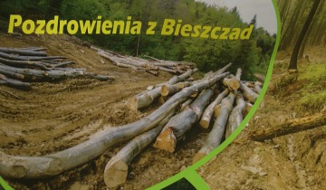W obronie puszczy