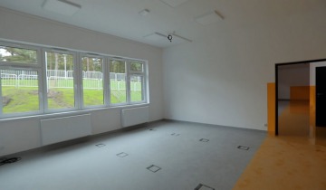 Warsztaty marzeń