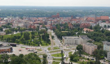 Epidemia galopuje