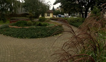 Kieszonkowe ogrody