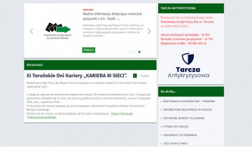 Kariera w sieci