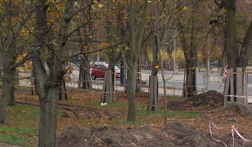 Sadzą zieleń