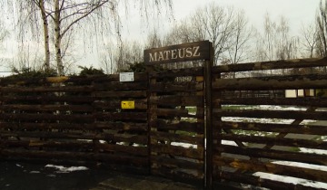 Mateusz na rozdrożu