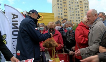 Ziemniaki w proteście