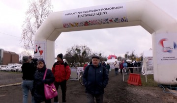 Gęsina na Św. Marcina