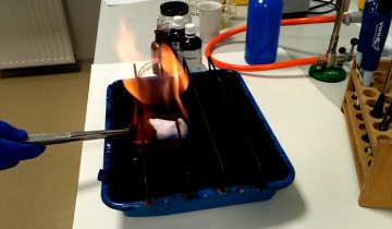 Noc biologów