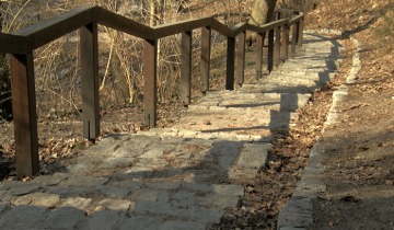 Park w terminie