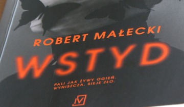 „Wstyd” Małeckiego