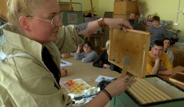 Pszczoły u Bratanków