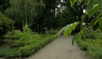 Niedziela w Ogrodzie