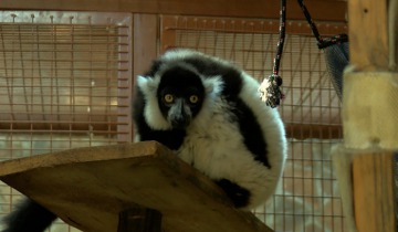 Ogród Zoobotaniczny zaprasza