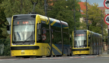 Dzień bez samochodu
