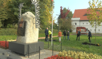 Platany przy obelisku 14.10.2022