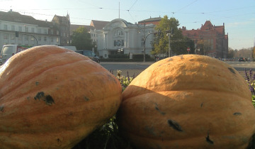 Jesienne dekoracje 27.10.2022