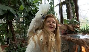 Opowieści z ZOO 02.12.2022