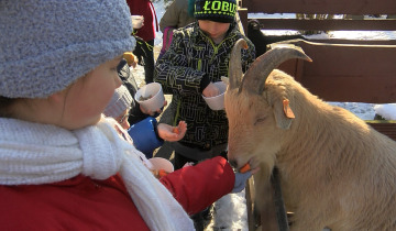 Ferie w ZOO 08.02.2023