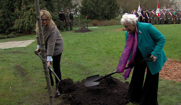 Dęby Katyńskie 13.04.2023