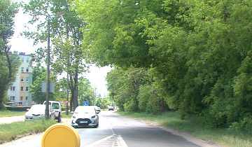 Konsultują zieleń 06.06.2023