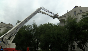 Przeprowadzka pszczół 19.06.2023