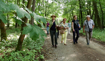 Zioła na lato 27.06.2023