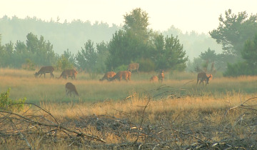 Myśliwi ekologami 17.07.2023
