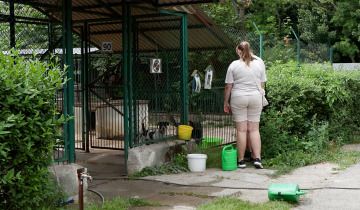Schronisko potrzebuje wsparcia 28.07.2023
