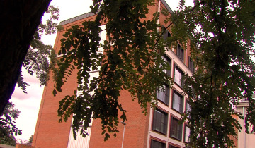 Propozycje WOAK -u 10.08.2023