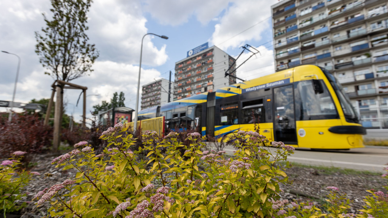 Parada tramwajów, festyn, konkursy tematyczne