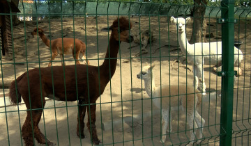 Nowi mieszkańcy ZOO 25.08.2023