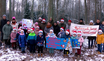 Choinka wybrana 01.12.2023