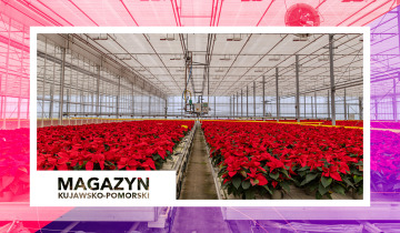 Magazyn Kujawsko-Pomorski 01.12.2023