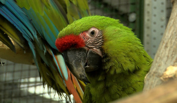 Ferie w ZOO 06.02.2024